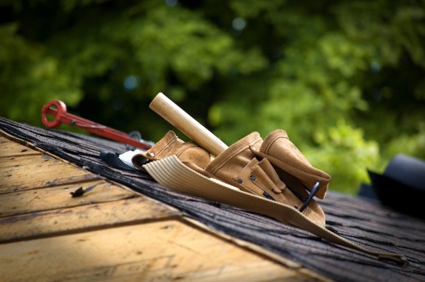 skylight-repair Experts in Selbyville